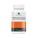 cordia-ecalyculata-e-Ilex-paraguaiensis-60-capsulas